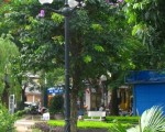 An Trường Thịnh - Trụ Đèn Trang Trí Công Viên Sân Vườn Tại Đồng Nai